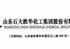 石大胜华:北京市中伦律师事务所关于石大胜华新材料集团股份有限公司向特定对象发行A股股票的补充法律意见书（七）