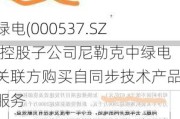 中绿电(000537.SZ)：控股子公司尼勒克中绿电向关联方购买自同步技术产品及服务