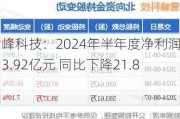 雪峰科技：2024年半年度净利润约3.92亿元 同比下降21.8%