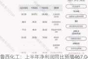 鲁西化工：上半年净利润同比预增467.04%-518.59%