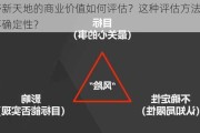 巨野新天地的商业价值如何评估？这种评估方法有哪些不确定性？