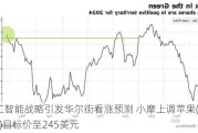 人工智能战略引发华尔街看涨预测 小摩上调苹果(AAPL.US)目标价至245美元