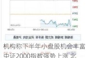 机构称下半年小盘股机会丰富 中证2000指数强势上涨 北鼎股份、旗天科技等涨停