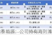 永泰能源：公司持有海则滩煤矿70%股权