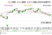 天齐锂业盘中异动 下午盘股价大跌5.00%报23.750港元