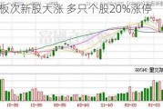 科创板次新股大涨 多只个股20%涨停