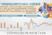 5月CPI同比涨0.3% 肉价涨了4.6%