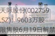 天际股份(002759.SZ)：9603万股限售股6月19日解禁