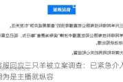 抖音客服回应三只羊被立案调查：已紧急介入处理，不会因为是主播就纵容