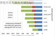 如何评估一家半导体公司的综合表现？这种评估方式有哪些关键指标？