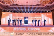 通威THC、TNC组件双双刷新世界纪录