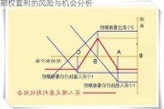 期权套利的风险与机会分析