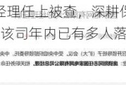 万亿央企副总经理任上被查，深耕保险行业28余年，出任仅1年，该司年内已有多人落马