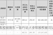 众泰汽车控股股东一致行动人全部股权被司法轮候冻结