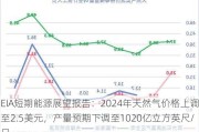 EIA短期能源展望报告：2024年天然气价格上调至2.5美元，产量预期下调至1020亿立方英尺/日