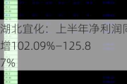 湖北宜化：上半年净利润同比预增102.09%—125.87%