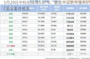 5月29日中科创达涨5.87%，嘉实中证软件服务ETF基金重仓该股