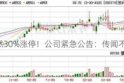 突然30%涨停！公司紧急公告：传闻不实！