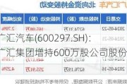 广汇汽车(600297.SH)：广汇集团增持600万股公司股份