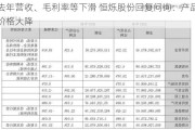 去年营收、毛利率等下滑 恒烁股份回复问询：产品价格大降