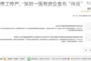 全面停工停产，深圳一国有房企宣布“待岗”