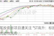 大手笔投资新项目遭关注 *ST高升：标的可能现流动性风险