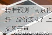 精准预测“南京化纤”股价波动？上交所开查