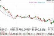 港股开盘：恒指低开0.29%科指跌0.35%！科网股普遍低开，小鹏跌超1%，京东、阿里巴巴跌0.52%