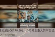 安通控股(600179.SH)：公司筹划重大资产重组，自5月29日起停牌