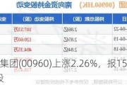 龙湖集团(00960)上涨2.26%，报15.38元/股