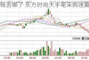 钱去哪了 东方时尚大手笔采购迷雾重重