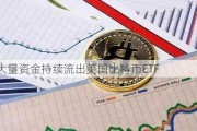 大量资金持续流出美国比特币ETF