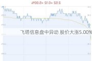 飞塔信息盘中异动 股价大涨5.00%