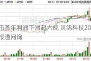 上市首年利润下滑超六成 灵鸽科技2023年年报遭问询