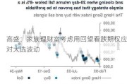 高盛：家族理财室考虑用回望看跌期权应对大选波动