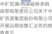 中矿***:方正证券承销保荐有限责任公司关于中矿***集团股份有限公司开展远期结售汇业务的核查意见