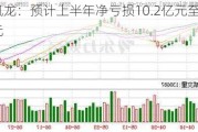 美凯龙：预计上半年净亏损10.2亿元至13.8亿元