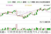 中国核建：可转债转股价格调整为9.21元/股