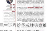 民生证券给予威胜信息推荐评级，2024年半年报点评：Q2业绩符合预期，海外市场加速拓展