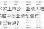 多家上市公司业绩大增 A股中报业绩预告有哪些看点？