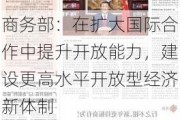 商务部：在扩大国际合作中提升开放能力，建设更高水平开放型经济新体制