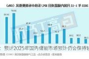 储能：预计2025年国内储能市场预计仍会保持较好增速