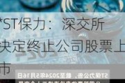 *ST保力：深交所决定终止公司股票上市