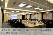 川发龙蟒：6月13日召开临时股东大会 审议选举非独立董事等议案