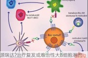 源瑞达?治疗复发或难治性大B细胞淋巴瘤新适应症的上市许可申请获受理