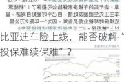 比亚迪车险上线，能否破解“投保难续保难”？