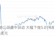 欧朋公司盘中异动 大幅下挫5.01%报19.06美元