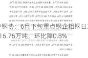 中钢协：6月下旬重点钢企粗钢日产216.76万吨，环比降0.8%