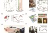 智动力(300686.SZ)：主要从事消费电子功能性器件、结构性器件、光学组件及可穿戴组件的研发、生产和销售