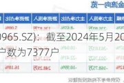 *ST恒宇(300965.SZ)：截至2024年5月20日，公司的股东总户数为7377户